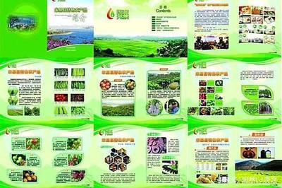 食用農(nóng)產(chǎn)品與初級(jí)農(nóng)產(chǎn)品和農(nóng)產(chǎn)品初加工的類別范圍及區(qū)別