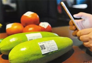 廣西加快推進重要產品追溯體系建設 信息互聯(lián)互通