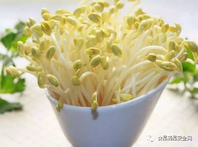 豆芽監(jiān)管職責分工;豆芽是屬于蔬菜(即食用農產品)還是加工食品的定性爭議問題?僅供參考
