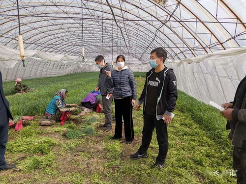 長春新區全面啟動食用農產品合格證試行工作